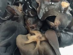 -三兴涮羊肉(荣安大街店)