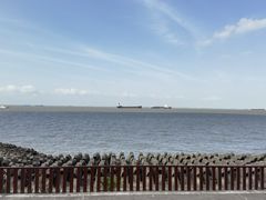 -上海滨江森林公园