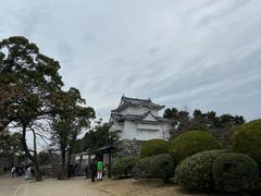 -名古屋城