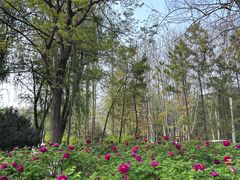 -洛阳市隋唐城遗址植物园