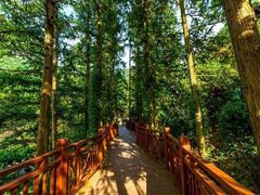 -英西峰林九重天景区