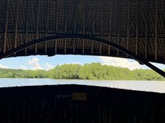 -大湾区中央湿地公园