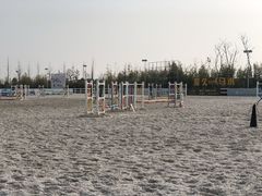 -上海崇明金茂凯悦酒店