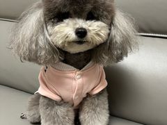 -帕帕拉兹宠物(亚洲旗舰店)