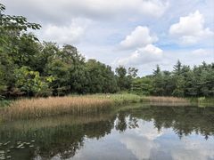 -白鹭湾湿地公园