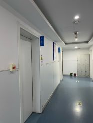 -温州伯思立医院