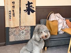 -沏点Trattoria意大利餐厅(新街口店)