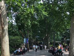 -静安公园(静安寺街道)