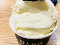 -野人牧坊Gelato(天津南开大悦城店)