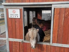 -上海崇明金茂凯悦酒店