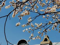 -伊犁老城喀赞其民俗旅游区