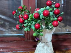 -果松木炭酸菜铜火锅·外婆参鸡汤