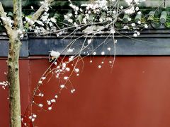 -钱王祠