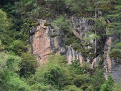 -九寨沟-树正沟