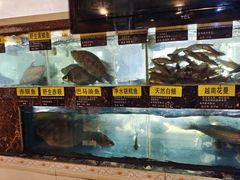 水产区-盛记顺德高佬猪杂粥