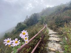 -白草畔自然风景区