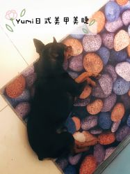 点击看大图 -Yumi优米日式美甲美睫