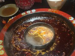 -矮板凳老火锅(宽窄巷子店)