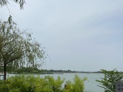 -天津金海湖