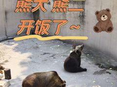 -保定市动物园