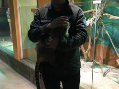 -萌宠奇缘(荣鼎店)