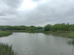 -贡湖湾湿地公园