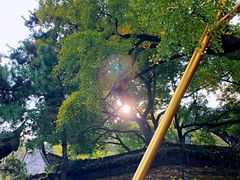 -无锡惠山寺
