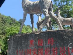 -长沙黑麋峰国家森林公园