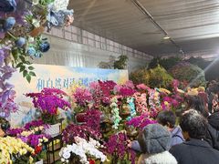 -北戴河集发农业梦想王国