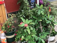 -北京龙庆四季香农家饭庄·灶台鱼·碳烤虹鳟鱼(龙庆峡店)