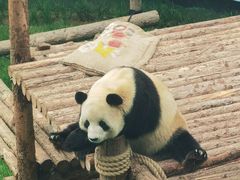 -大连森林动物园