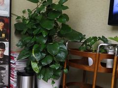 -欢乐口腔(望京分院)
