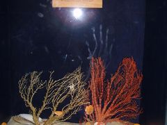 -亚龙湾中心广场·贝壳馆