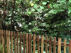 -新加坡飞禽公园