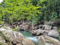 -广州白江湖森林公园