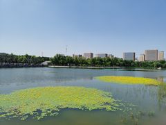 -长春世界雕塑园