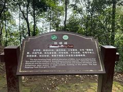 -缙云山景区