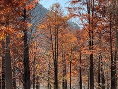 -敬亭山风景名胜区