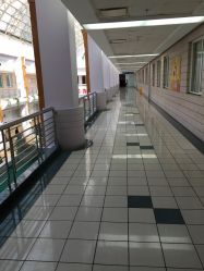 -上海交通大学医学院附属上海儿童医学中心(陆家嘴总院区)