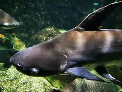 -太平洋海底世界