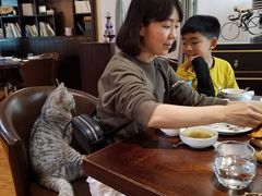 -庆泰顺