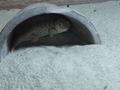-上海大自然野生昆虫馆