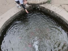 -竹泉村旅游度假区