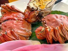 -火福·天湖阁大闸蟹博物馆主题餐厅(浅水湾店)