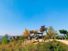 -高尔山公园