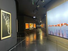 -罗红摄影艺术馆