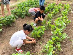 -前小桔亲子创意农场·草莓采摘·露营烧烤