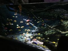 -暹罗海洋世界