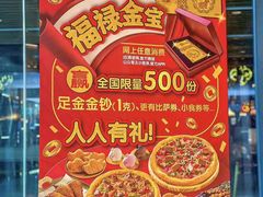 -达美乐比萨(国瑞北路店)