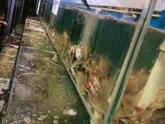 -仙螺岛海鲜自助餐厅(总店)